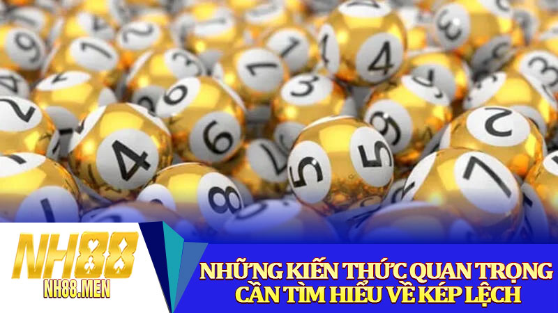 Những kiến thức quan trọng cần tìm hiểu về kép lệch